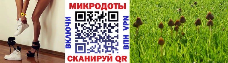Галлюциногенные грибы Cubensis  Гатчина 